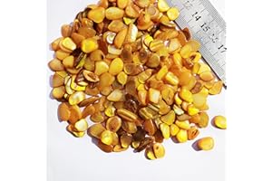 OAKBUD Mosaic Tiles - Shell Natural Shell Bulk Mosaic Tile Assortment - Irregular Size Mixed Colors Glass Tile - 100g Craft and Backsplash Tile (Yellow)