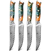 WILDMOK Steak Knives, 5 inch Non Serrated Steak Knife Set of 4, Japanese Damascus VG10 Steel Steak Knives,Premium Steak Knives Set with Gift Box
