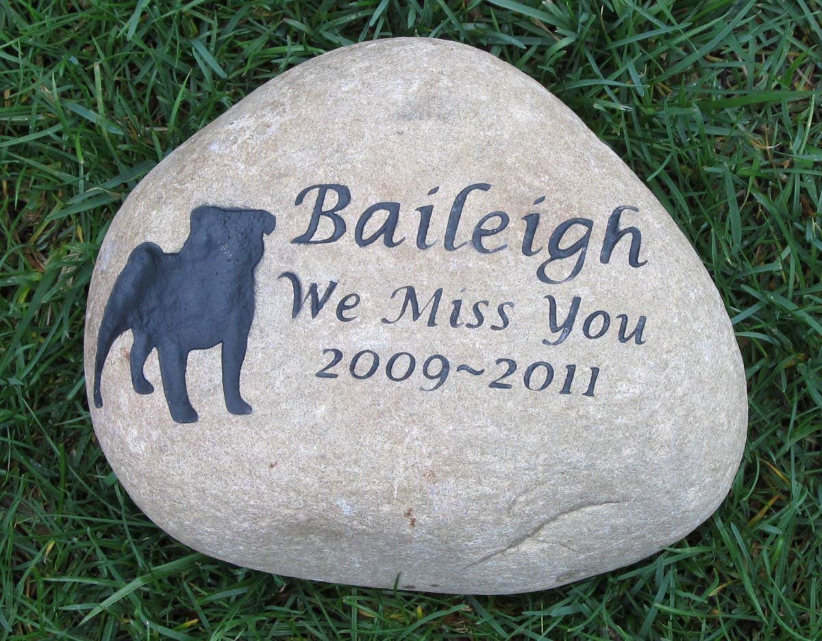 mercy animal hospital hours