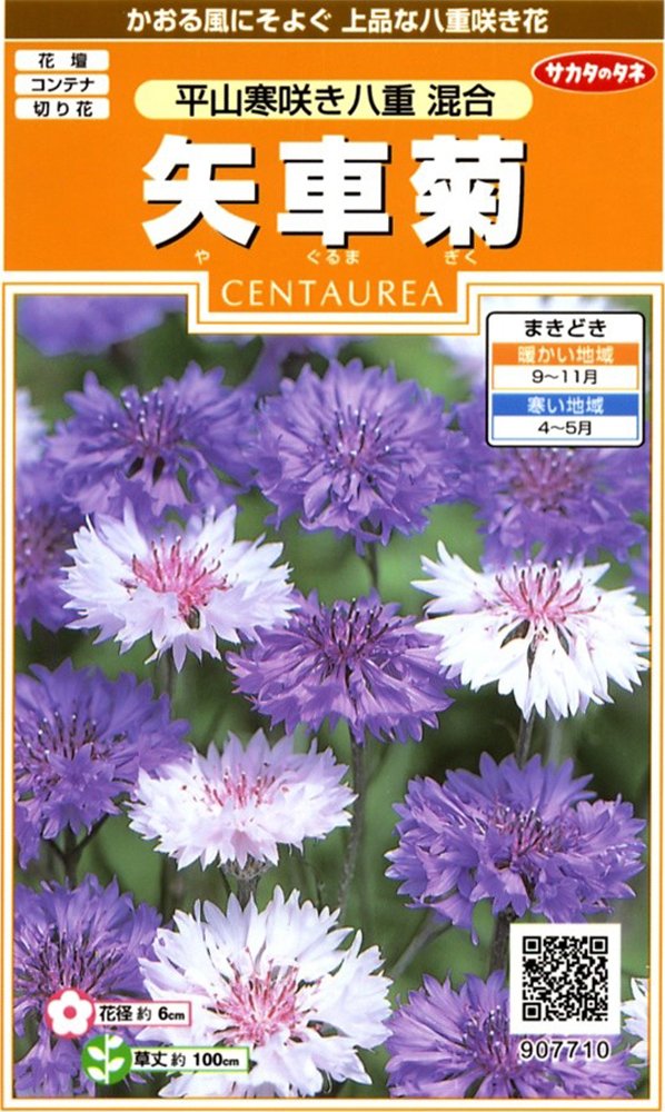 サカタのタネ 実咲花7710 矢車菊 平山寒咲き八重混合 00907710