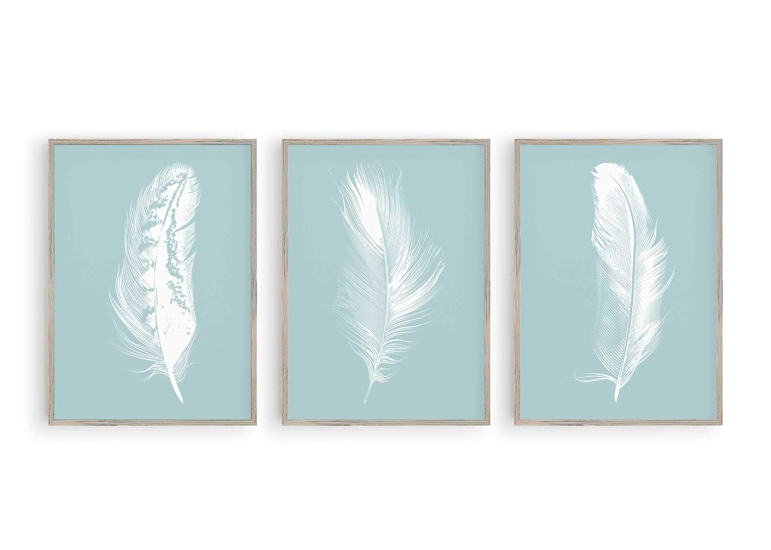 Set of 3 Wall Art Prints, Duck Egg Blue Background, Unframed Amazon.co