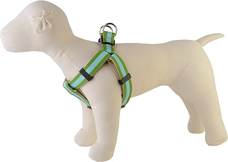 paw paws dog collars