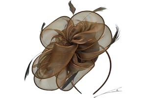DRESHOW Fascinators Hat Tea Party Headwear Ribbons Feathers on a Headband and a Clip for Women