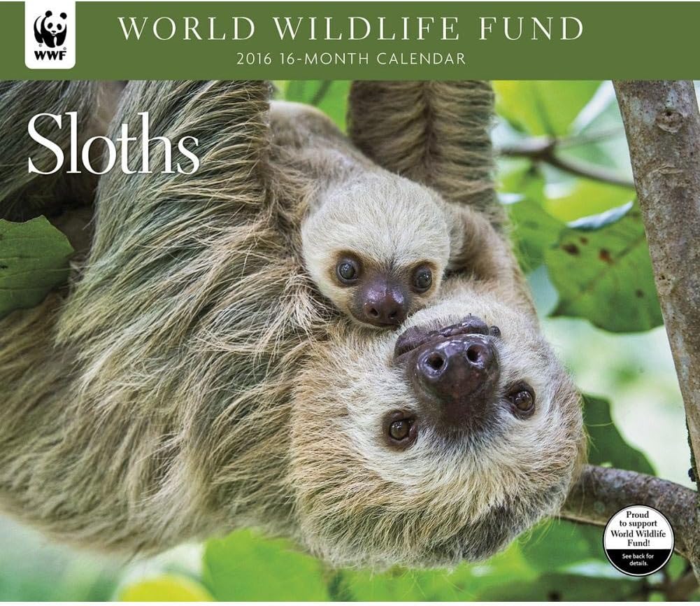 WWF Sloths 2016 Wall Calendar by Calendar Ink