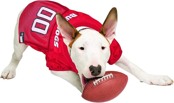 georgia dog jersey