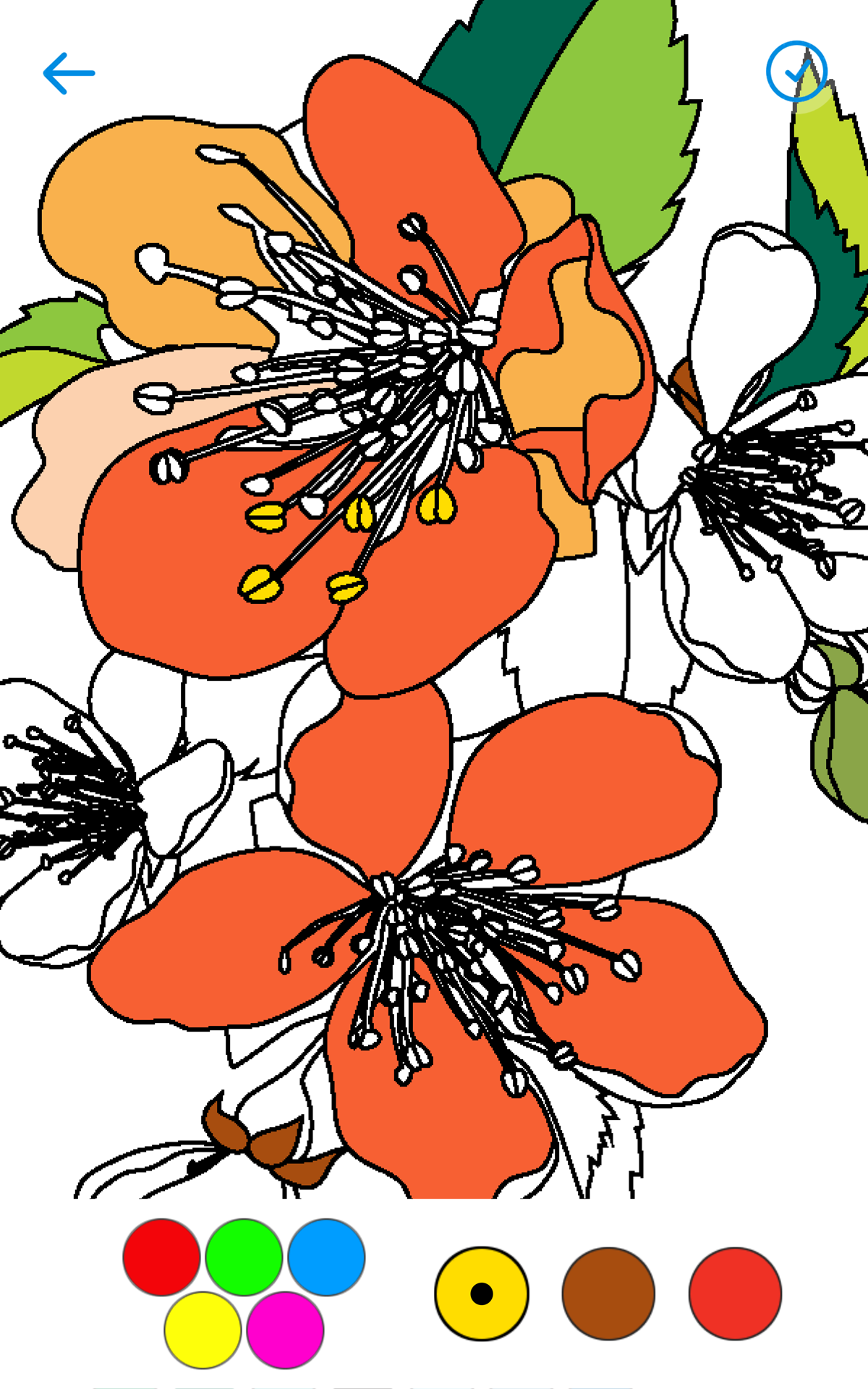 Coloring Book Pixel Draw Painting