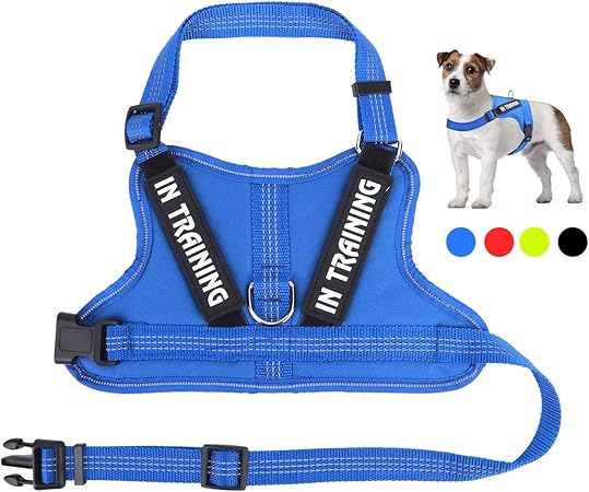 sled dog harness amazon