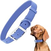 Wisedog Waterproof Dog Collar, S 8"-12", Blue | PVC Coated, Odor-Proof, Easy Clean, Adjustable for Small to Large Dogs