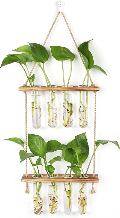 Hyindoor 2 Tier Propagation Station Glass Planter Wall Hanging Test Tubes 8pcs