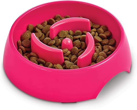 where can i get rabbits near me