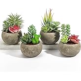 SPEPLA Succulents Plants Artificial 4 Pack, Mini Fake Succulents in Pots, Assorted Small Faux Succulent Decorative for Living Room Home Office Decor