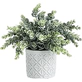 MyGift Artificial Eucalyptus Plant in Modern Gray Concrete Pots with Geometric Embossed Pattern (1, White)
