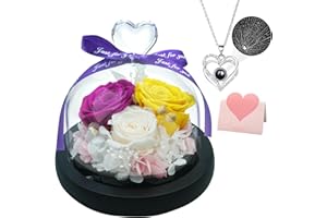 DIGI4U Mothers Day Rose Flowers Gifts for Mom Wife, Birthday Gifts for Women Girlfriend, Preserved Real Roses with I Love You Necklace Gifts for Mom from Daughter Son,Valentine's&Mother's Day Anniversary