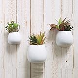 3 PCS Wall Mounted Ceramic Flower Plant Vase, Hanging Planters,Modern Ceramic Hanging Planters, Succulent Plant Pots, White