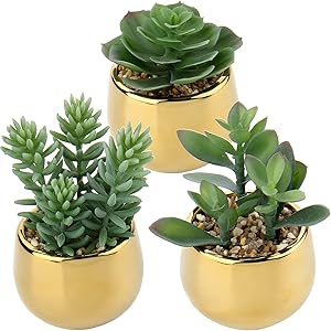 Artificial Succulent Plants Fake Succulents Small Plants in Golden Ceramic Potted Faux Succulents Aloe Plants Artificial Succulents in Pots for Home Office Desk Bathroom Shelf Decor