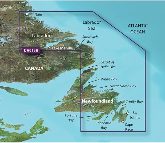 pedidos pendientes amazon