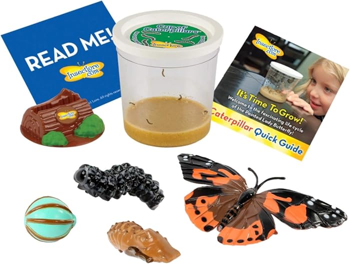 Insect Lore 5 Live Caterpillars Cup of Caterpillars Butterfly Kit Refill - Plus Butterfly Life Cycle Stages Toy Figurines - Shipped Now