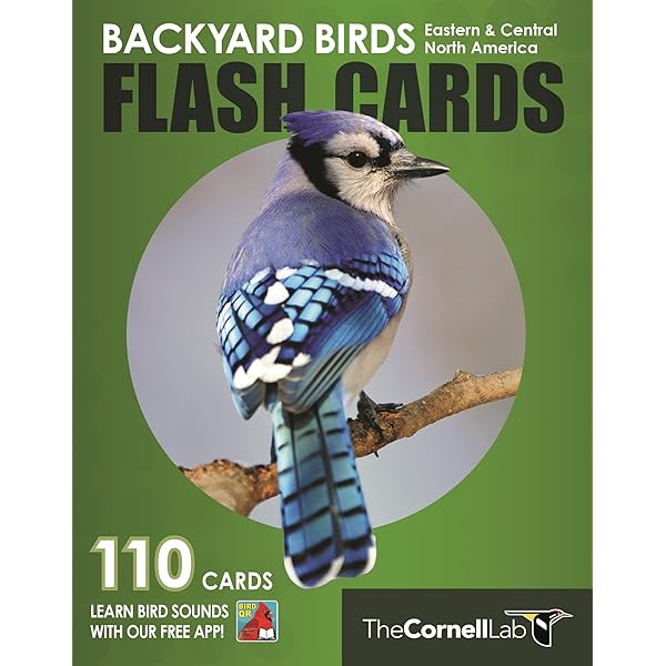 Lot De 87 Cartes Postales Sibley - Backyard Birding - 2013 - Neuves En Boîte
