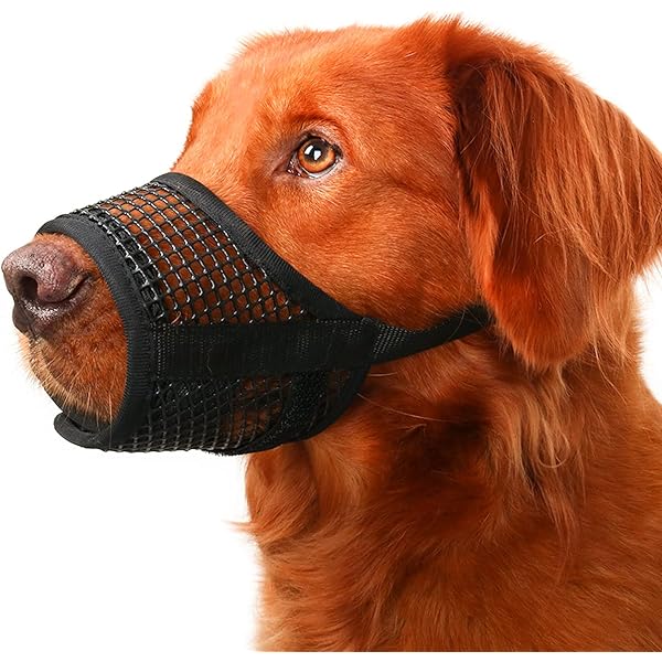 Top Paw Basket Muzzle atelieryuwa.ciao.jp