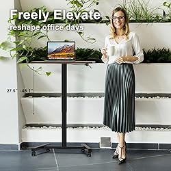 MPETAPT 28-Inch Mobile Standing Desk Adjustable