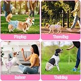 Aomig Reusable Dog Nappies 3 Pcs Absorbent Washable Female Pet Diapers L view 8