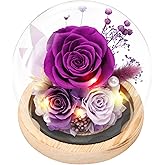 Casaido Preserved Roses Flowers for Delivery, Vanlentines Day Gifts for Her, Purple Forever Flores in Glass Dome for Women Mom Wife Girlfriend, Anniversary Birthday Rose Gift for Mothers Day Christmas