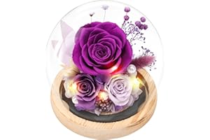 Casaido Preserved Roses Flowers for Delivery, Purple Forever Flores in Glass Dome for Women Mom Grandma Wife Girlfriend, Eternal Rose Anniversary Birthday Gift for Valentines Mothers Day Christmas