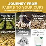 HANDPICK Ginger Tea Bags 100 Count Non GMO Pure Ingredients view 6