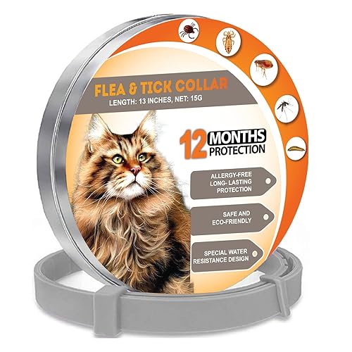 Cat Flea Collars 13 Inches Flea Collars for Cats Fit Flea Treatment for  Cats Lasting 12 Months Waterproof Cat Flea Collar Cat Flea Treatment