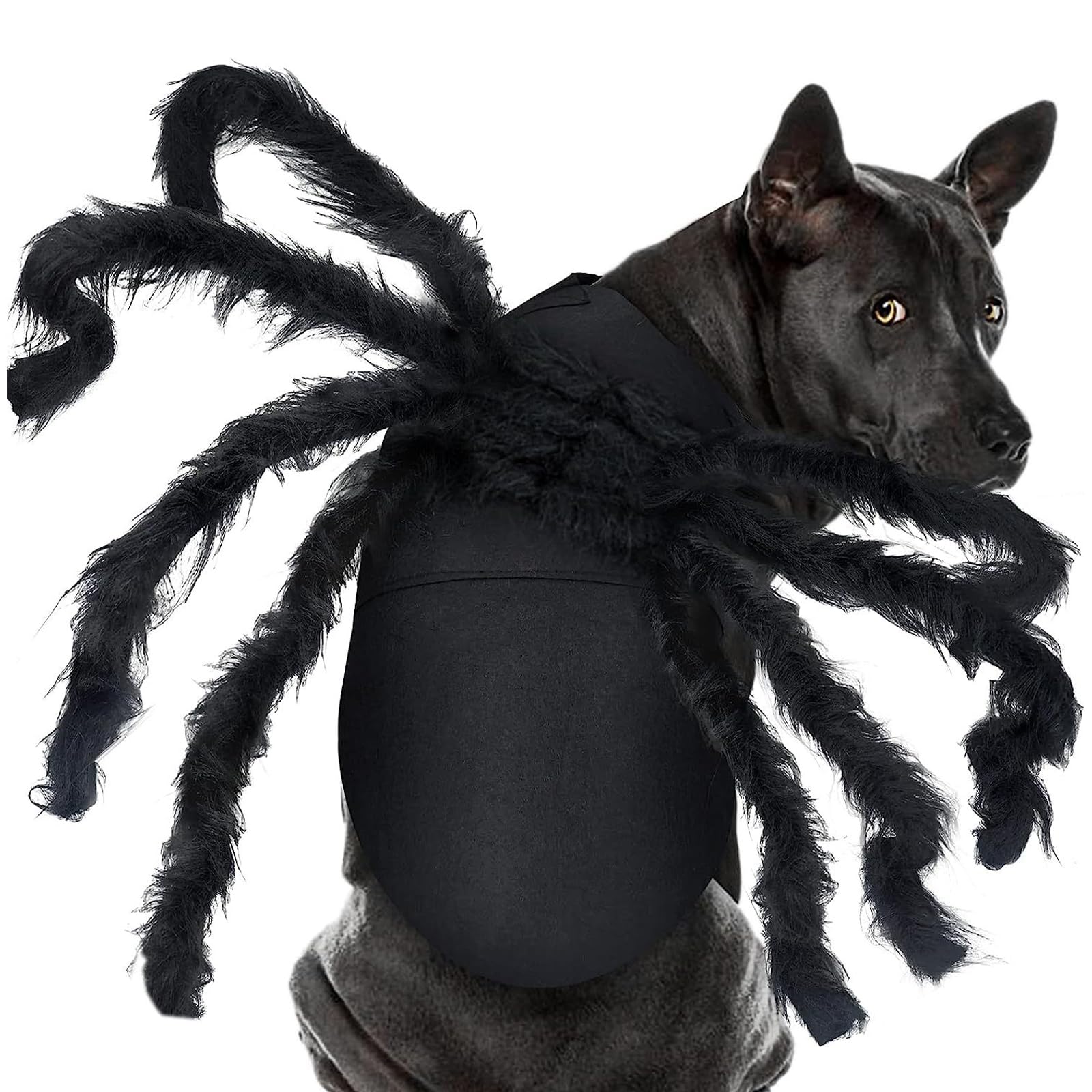 Pet Spider Costume Halloween Furry Giant Simulation Spider Apparel for Cats and Small to Medium Dogs Halloween Party Dress Up Festival Decoration Cosplay Costume (Large)