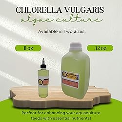 SCOTTY'S BUGS Algae Culture Chlorella
