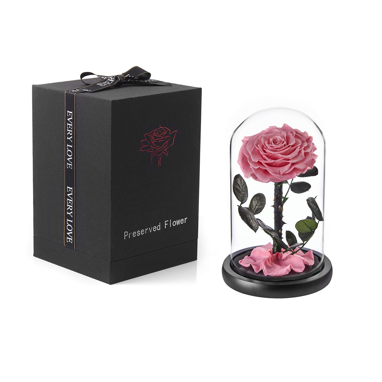 puto Preserved Real Rose Eternal Rose in Glass Dome Gift for Her Thanksgiving Christmas Valentine's Day Birthday Mother's Day (Pink, Large)