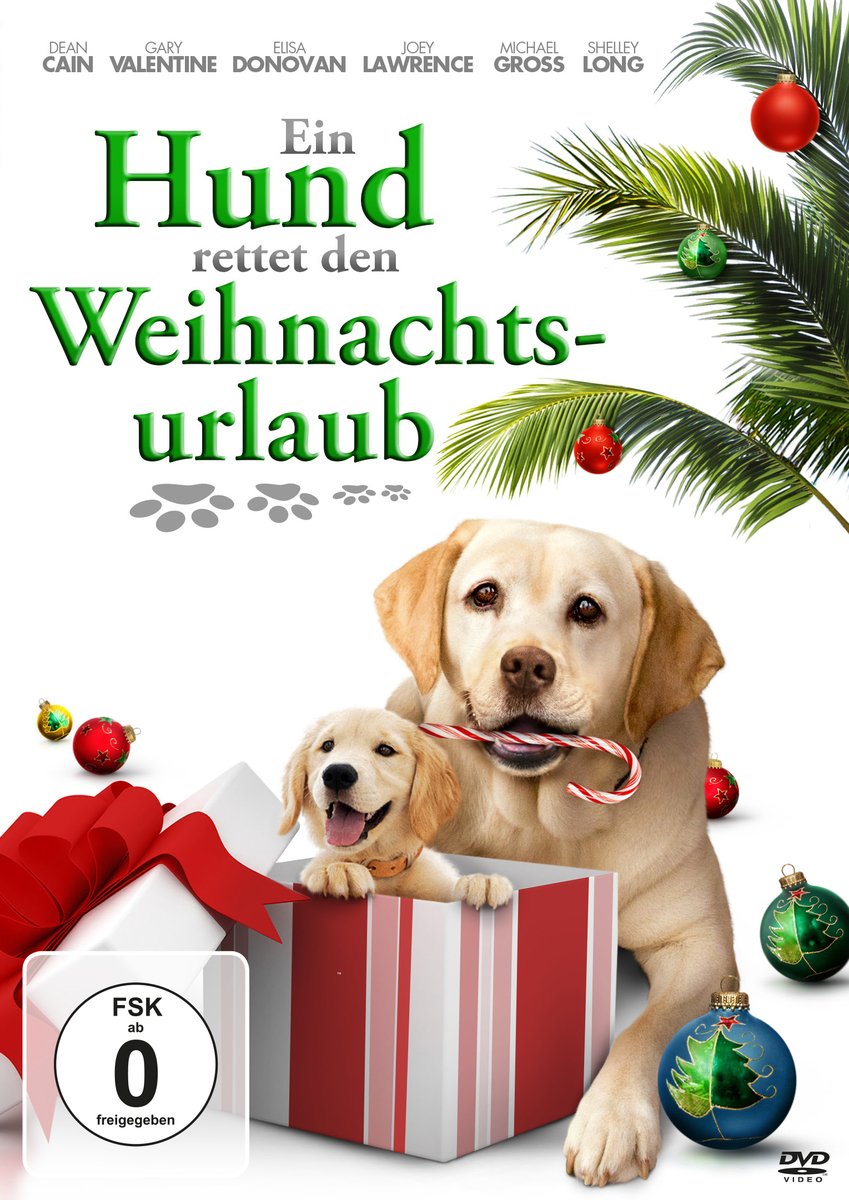 Ein Hund Rettet Weihnachten Ganzer Film Deutsch TAPA NA GUA BADAG