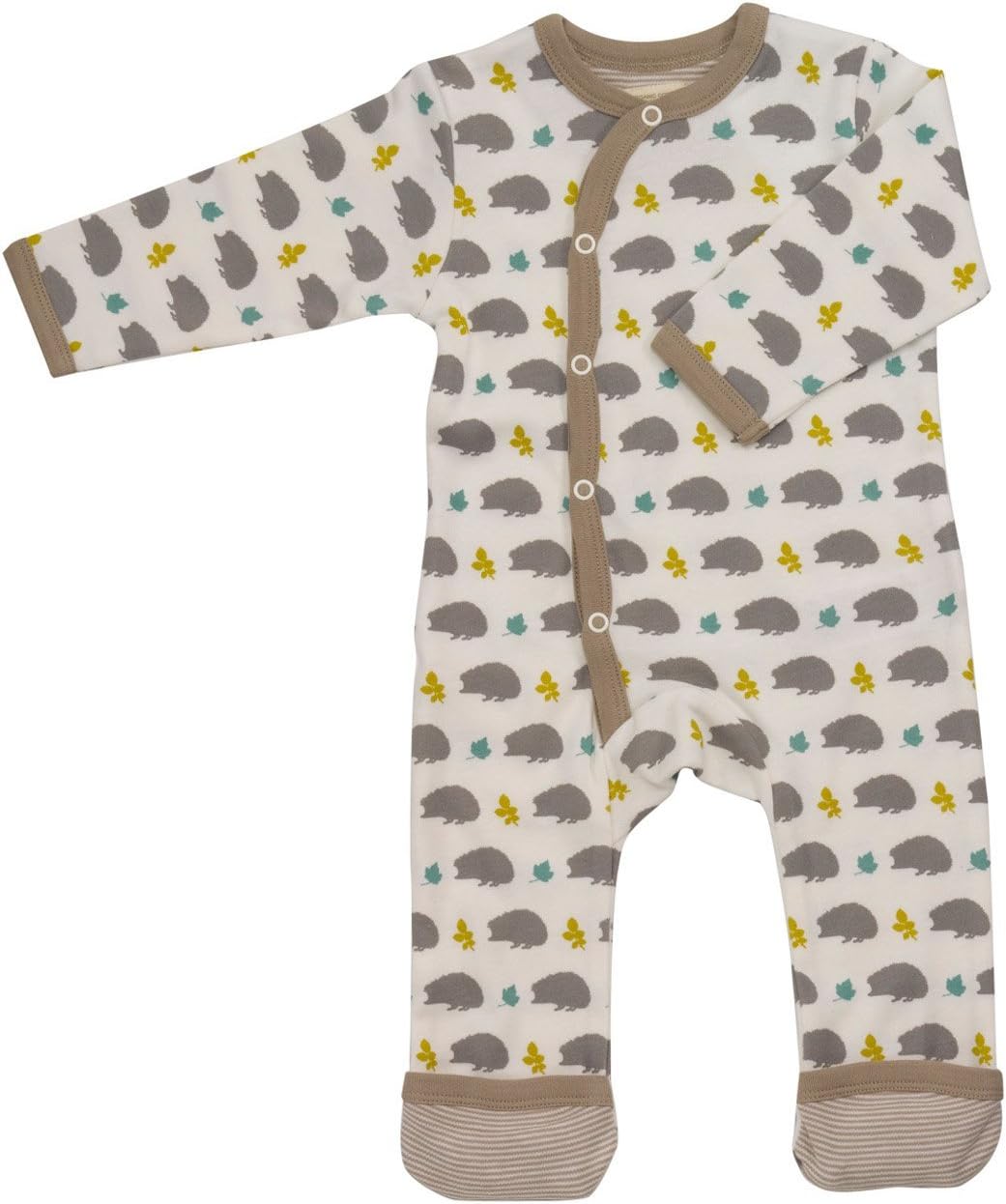 hedgehog baby grow