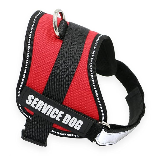 starmark bumper body puzzle ball dog treat dispenser