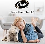 Cesar Premium Dog Wet Food Garden Terrine Loaf Lamb Turkey Green Beans 8x150g view 7