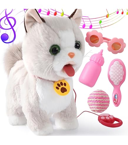 Amazon.com: JOYPALETTE Chiiwa, 1 Piece (x1) : Toys & Games
