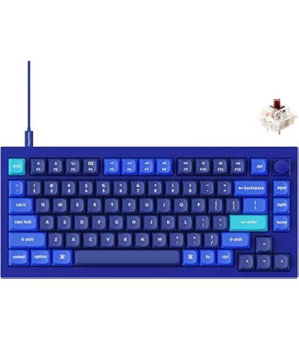 Amazon.com: Keychron Q1 RGB Wired Custom Mechanical Keyboard, 75