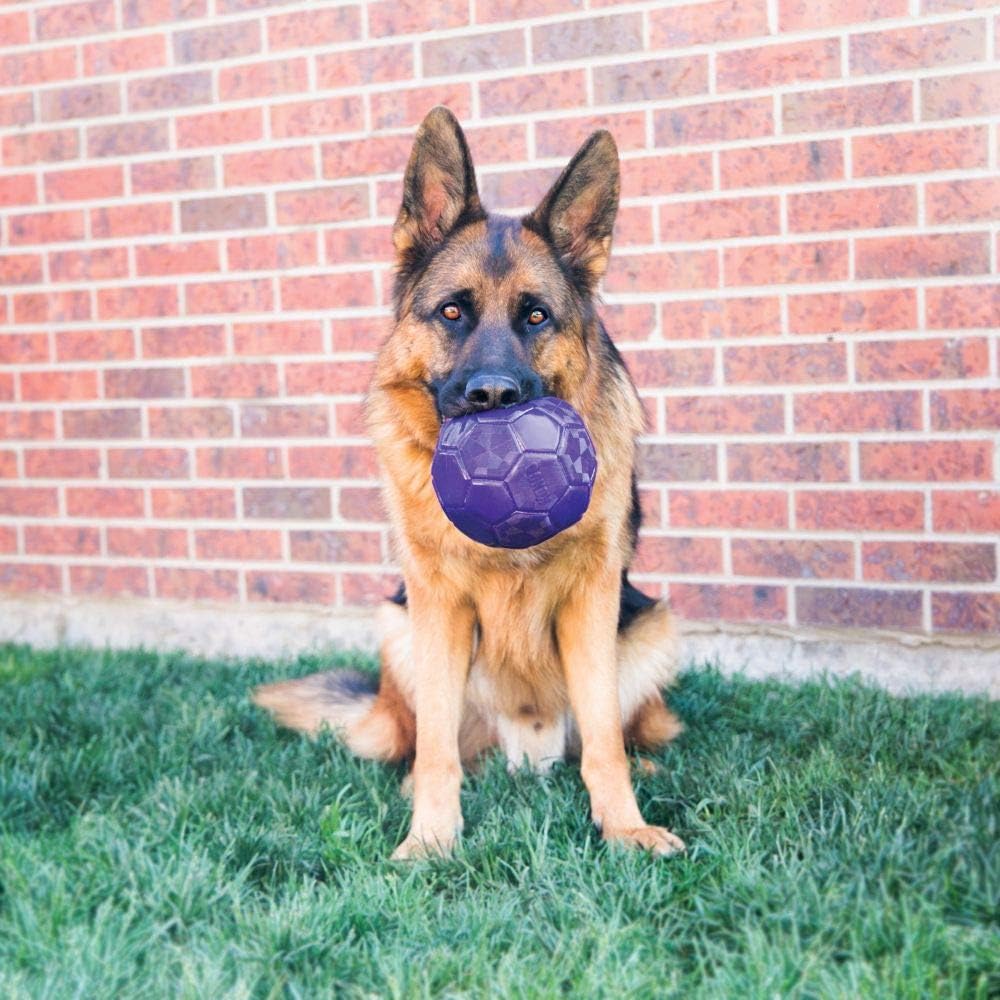 Kong Flexball for medium and large breed dogs, Multi - Image 4