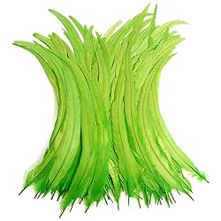THARAHT 20PCS Rooster Coque Tail Feathers Bulk