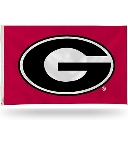 Rico Industries NCAA Wisconsin Badgers 3' X 5' Banner Flag - Officially Licensed Indoor/Outdoor