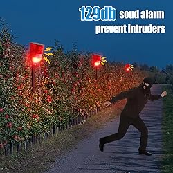 Qualirey Solar Sound and Light Alarm Motion Sensor