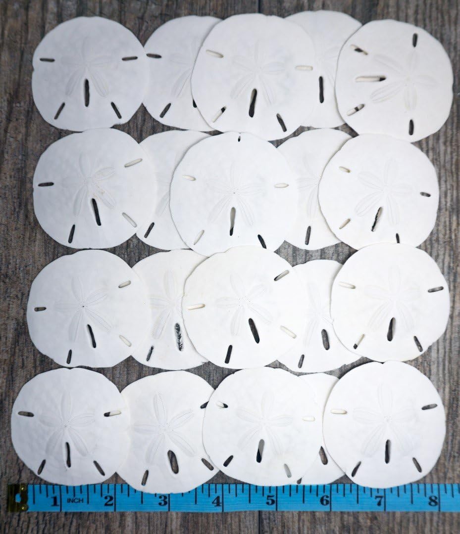 Get Nautischthemenorientiertes spiegel Desktop Wallpaper