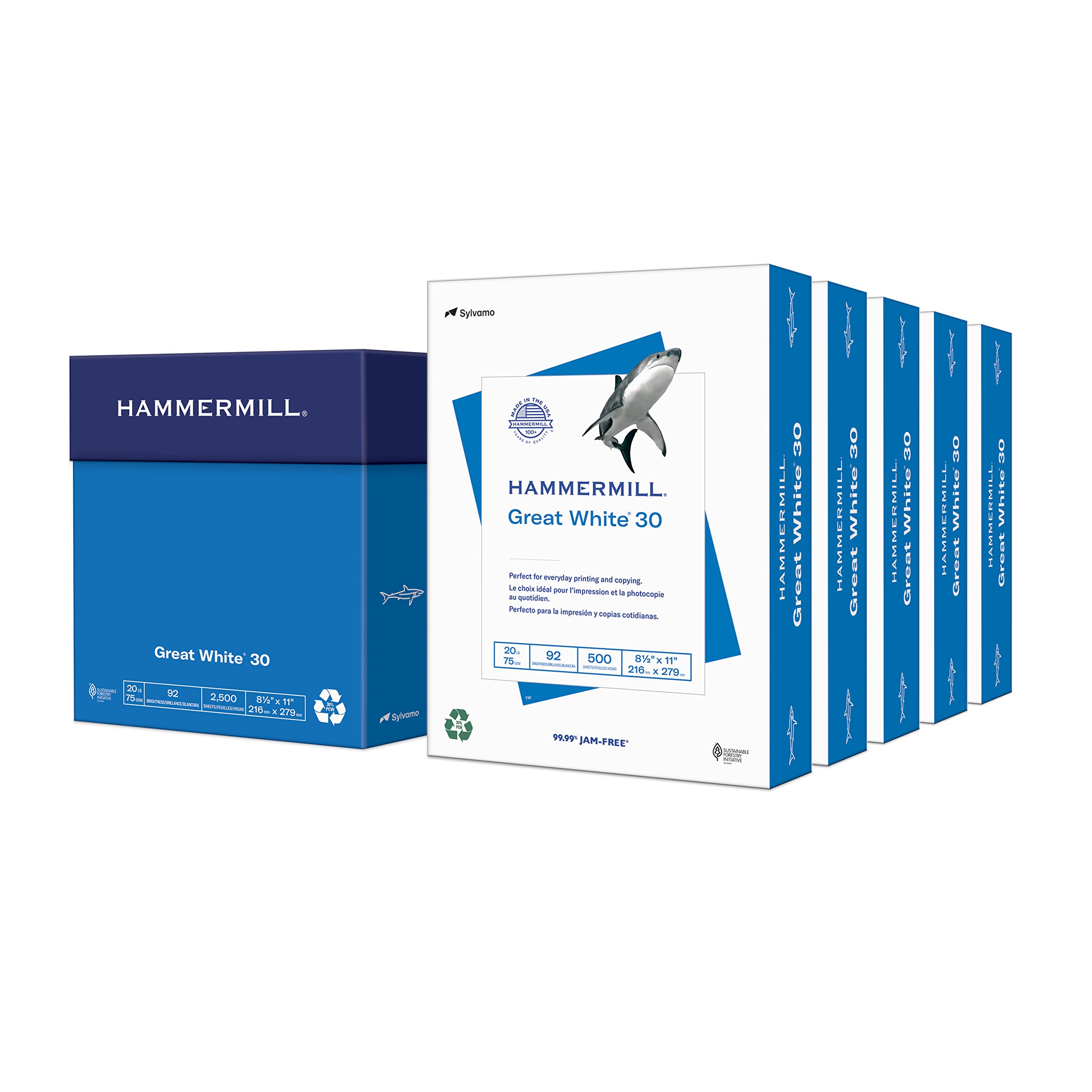 Hammermill Printer Paper, Great White 30% Recycled Paper, 8.5 x 11-5 Ream (2,500 Sheets) - 92 Bright, Made in The USA