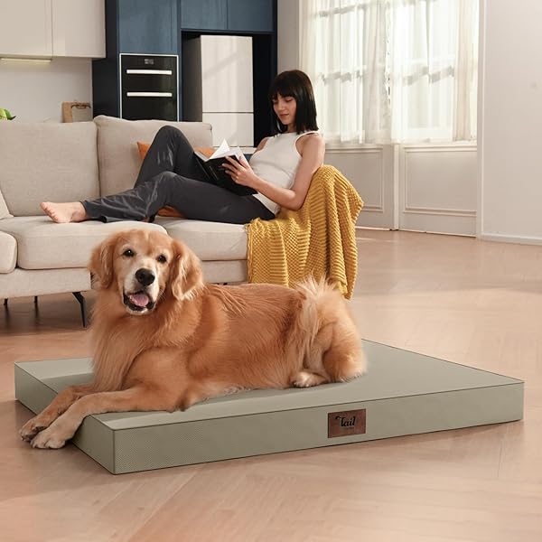 TAIL STORIES LARGE OUTDOOR ALL WEATHER DOG BED, WATERPROOF PET BED FOR LARGE DOGS, ORTHOPEDIC EGG CRATE FOAM WITH WASHABLE REMOVABLE OXFORD COOLING COVER, 36X27 INCH, KHAKI