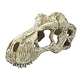 Komodo Reptile Terrarium Realistic T-Rex Skull