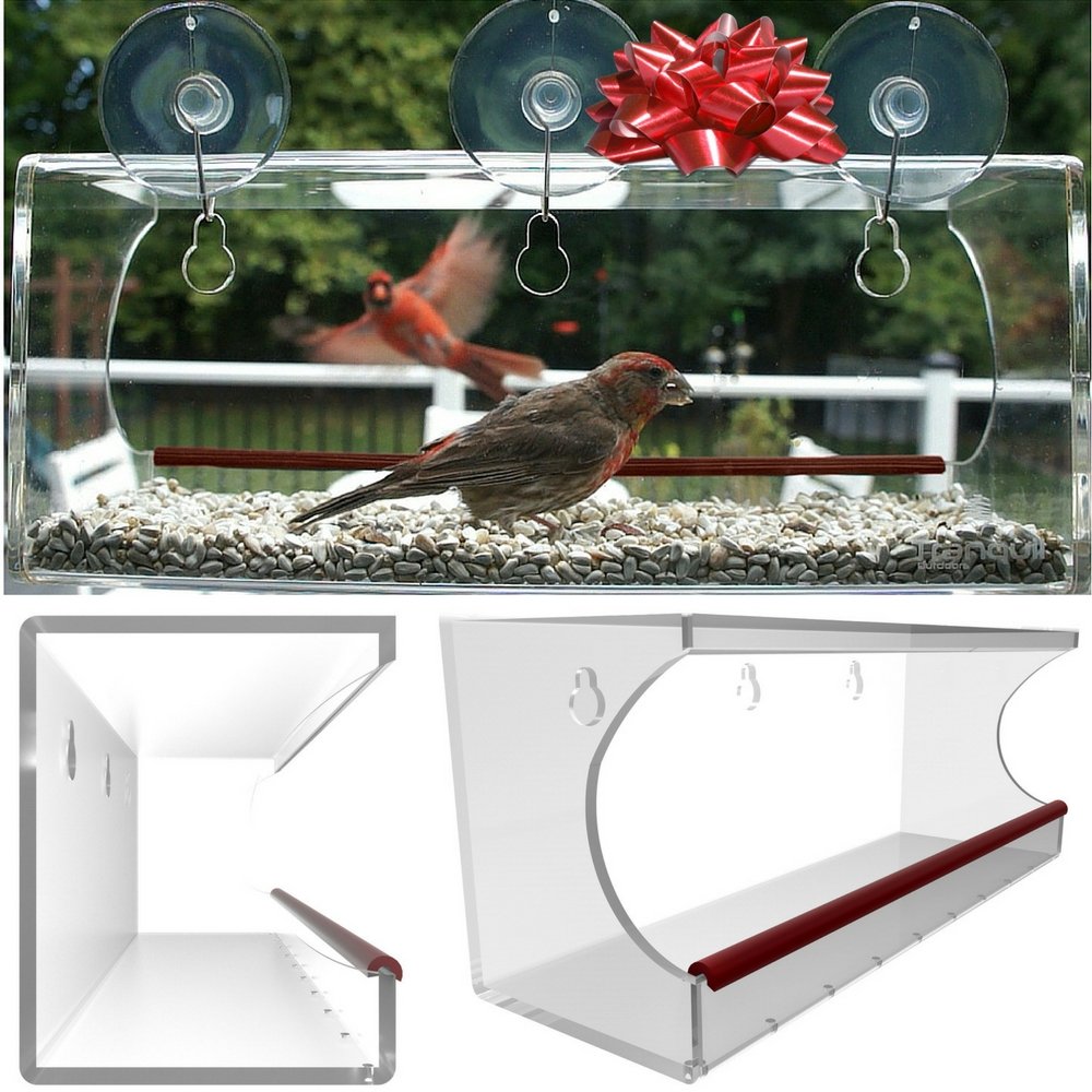 Large Window Bird Feeder See Through Clear Acrylic Design