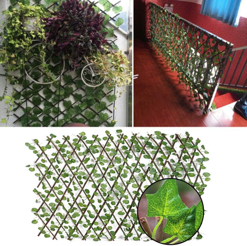 Expanding Fence Trellis Lvy Fence 