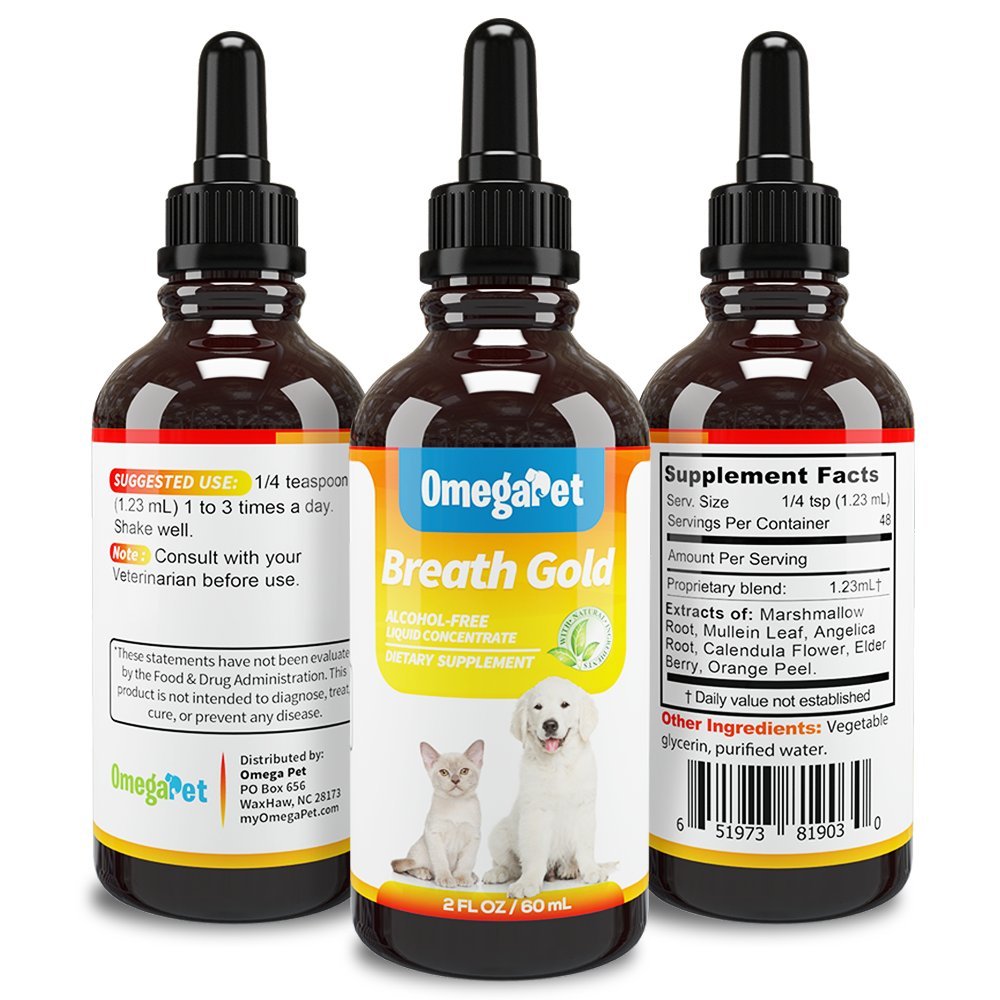 Kennel Cough Medicine for Dogs Organic Dog Cough