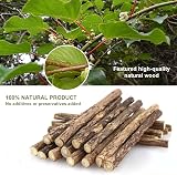 SeaMorn Cat Chew Sticks Matatabi Silvervine 30Pcs Natural Dental Care view 4